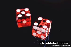 AG真人 zlsoddshub